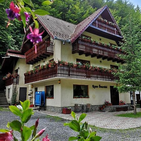 Raza Soarelui Hotel Felsőmoécs Kültér fotó