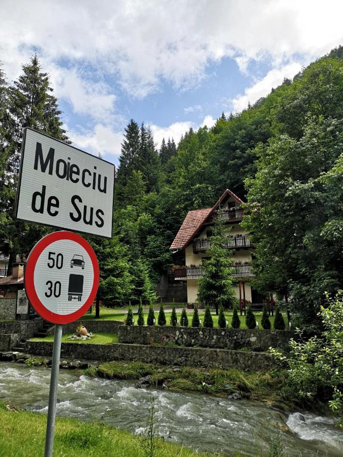 Raza Soarelui Hotel Felsőmoécs Kültér fotó