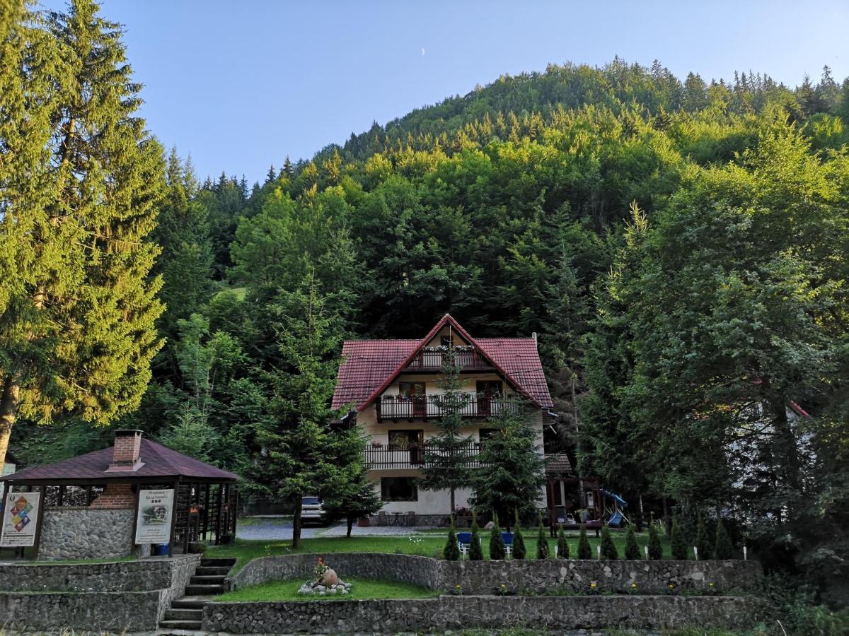Raza Soarelui Hotel Felsőmoécs Kültér fotó