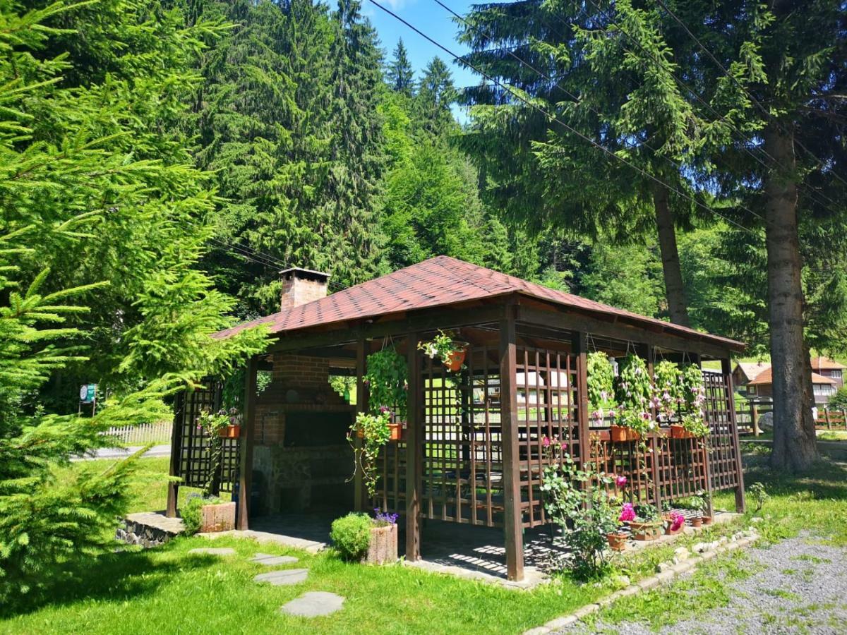 Raza Soarelui Hotel Felsőmoécs Kültér fotó